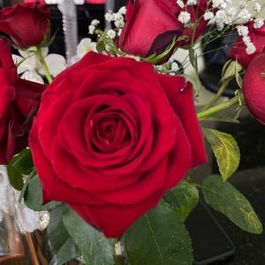 Meet your Posher, Johana